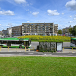 Autobus zatrzymuje się przy przystanku na Placu Niezależnego Zrzeszenia Studentów. Autobus linii 10 odjeżdża