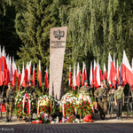 Warta honorowa i kompania honorowa Wojska Polskiego przy pomniku AK