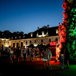 Uczestnicy koncertu New pop festival na placu przy Pałacu Branickich