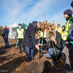 Prezydent Tadeusz Truskolaski sadzi drzewo