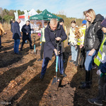Prezydent Tadeusz Truskolaski sadzi drzewo