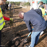 Przewodniczący Rady Miasta Łukasz Prokorym sadzi drzewo