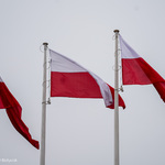 Biało - czerwone flagi Rzeczpospolitej Polskiej powiewają na wietrze