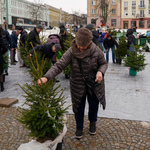 Białostoczanka z choinką
