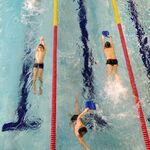 Pływacy podczas treningu Pływalnia Sportowa
