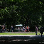 Mieszkańcy Białegostoku podczas odpoczynku w parku Planty