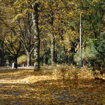 Park Centralny