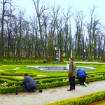 Sadzenie kwiatów w ogrodach Pałacu Branickich