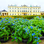 Kwiaty w ogrodach Pałacu Branickich