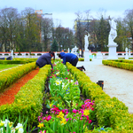 Sadzenie kwiatów w ogrodach Pałacu Branickich