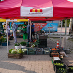 Stoisko z warzywami na targowisku miejskim przy ulicy Kawaleryjskiej