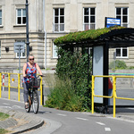 Kobieta porusza się rowerem po ścieżce rowerowej, obok zielony przystanek