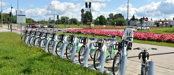Rowery stojące na stacji BiKeR, w tle: kwiaty