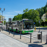 Autobus Białostockiej Komunikacji Miejskiej porusza się po jezdni