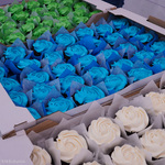 Muffinki w kolorze zielonym, niebieskim oraz białym