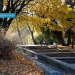 Mężczyzna siedzi na ławce w parku, dookoła znajdują się liście spadające z drzew