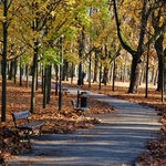 Ścieżka w parku, na której leżą żółte oraz pomarańczowe liście