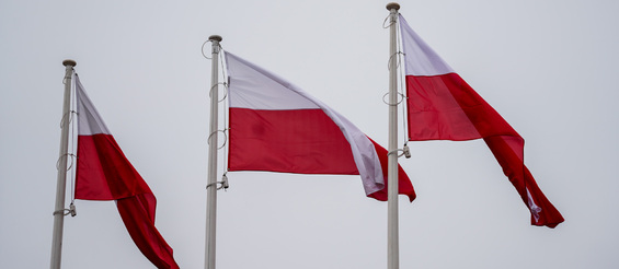 Flagi Polski powiewające na wietrze