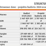 Struktura budżetu - tabela 