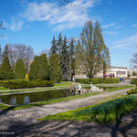 Mieszkańcy podziwiają pomnik Praczki