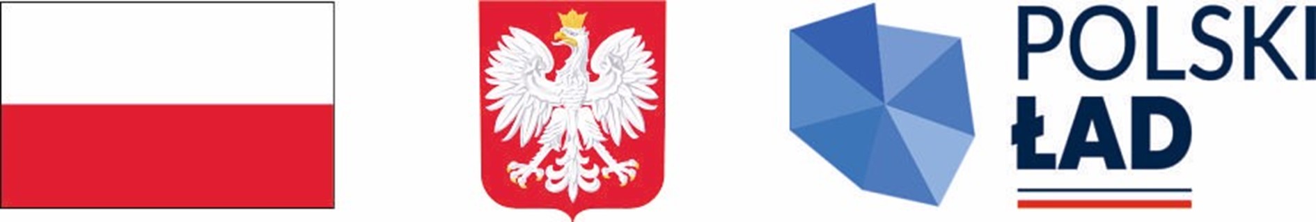Od lewej flaga Polski, Godło Polski i logo Polskiego Ładu