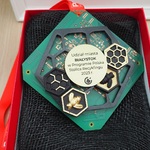 Medal - widok z bliska
