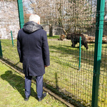 Prezydent Tadeusz Truskolaski ogląda niedźwiedzia chodzącego po wybiegu 