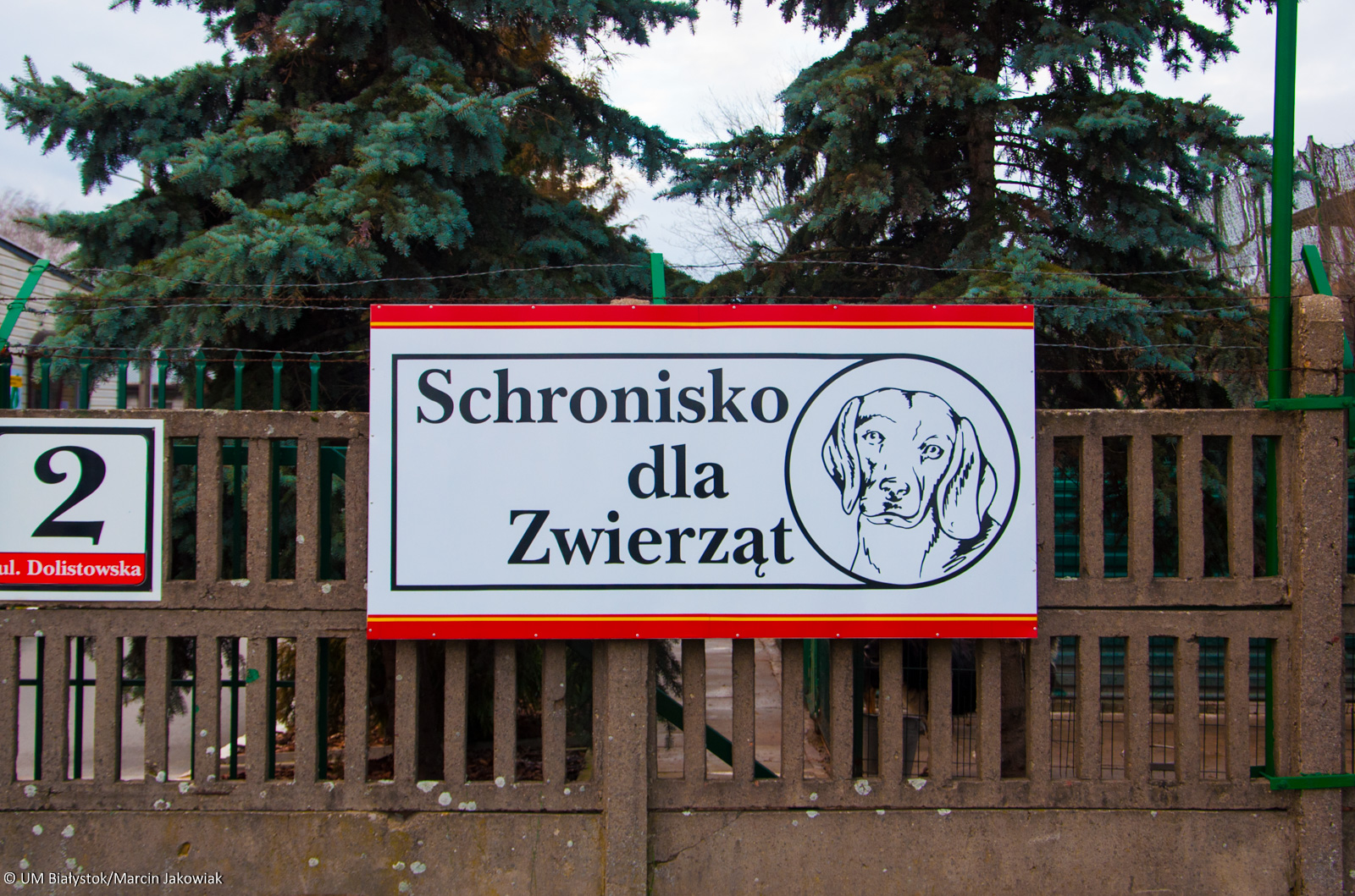 Schronisko dla zwierząt w Białymstoku