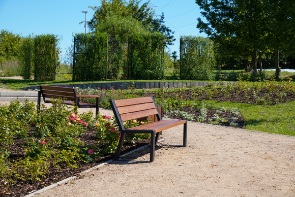 Botaniczny Park Kieszonkowy na Nowym Mieście w Białymstoku w Białymstoku
