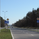 Ilustracja do artykułu DSCN7055.JPG