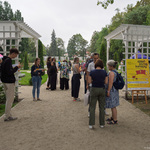 250907 Żółta Kanapa Różanka-020.jpg