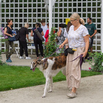 Kobieta idzie z psem na smyczy, w tle spacerują białostoczanie.