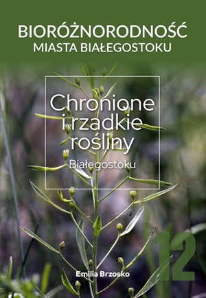 Okładka_WEB_zmn2.jpg