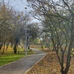 staw1.jpg