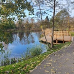 staw4.jpg