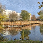 staw5.jpg