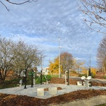 staw6.jpg