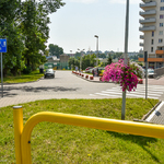 Ilustracja do artykułu 170811 street workout-2.jpg
